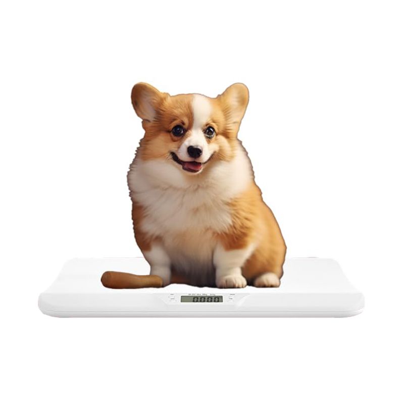 Весы Для Новорожденных