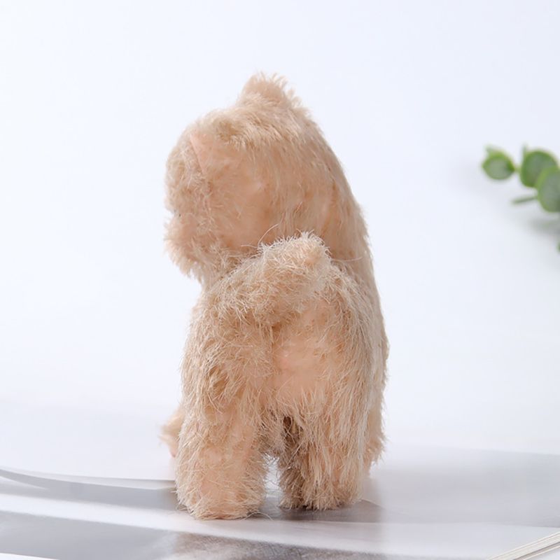 Реборн Котик