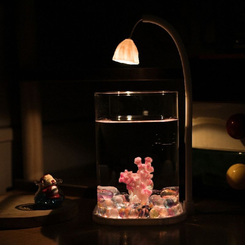 Аквариум Для Петушка