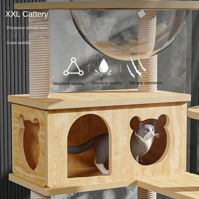 Лазалка Для Кошек