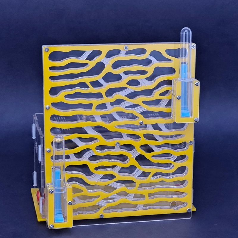 Муравьиная Ферма Большая