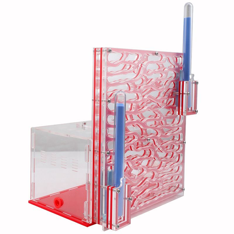 Муравьиная Ферма Большая