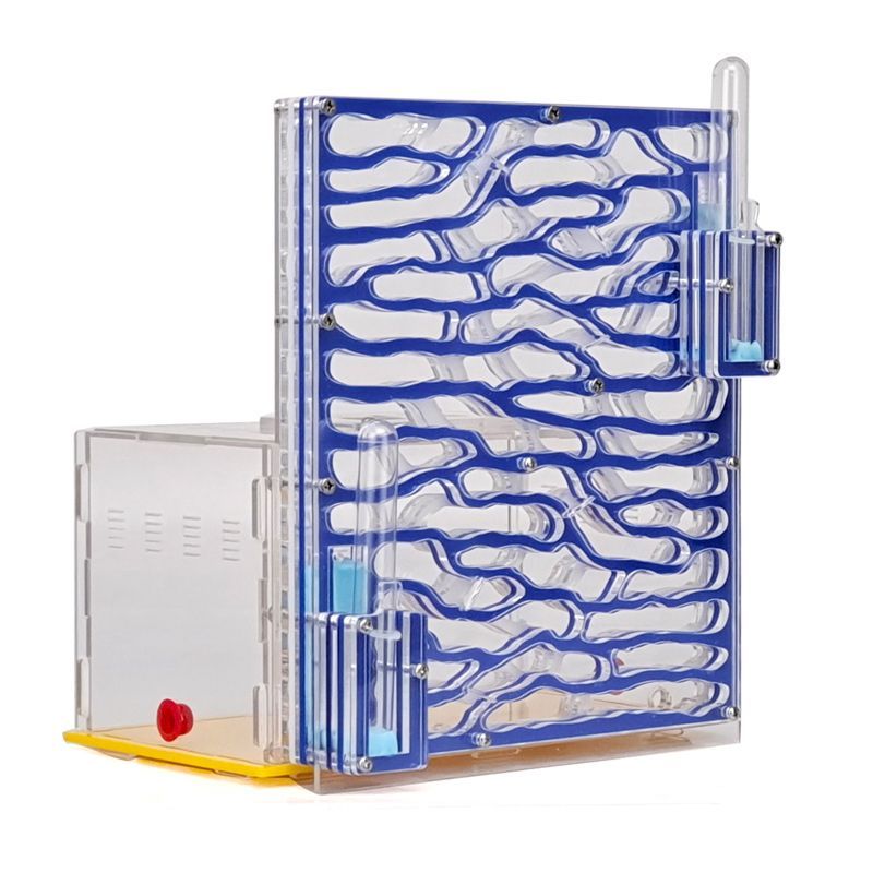 Муравьиная Ферма Большая