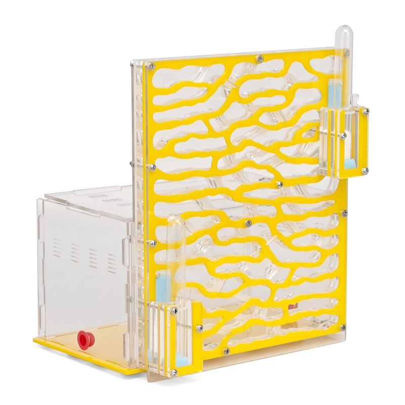 Муравьиная Ферма Большая