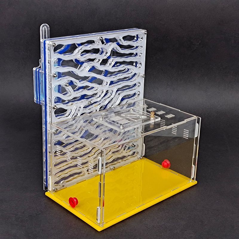 Муравьиная Ферма Большая