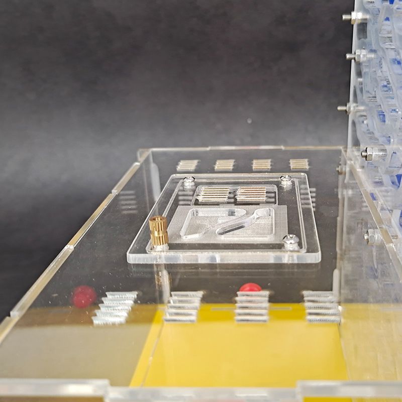 Муравьиная Ферма Большая