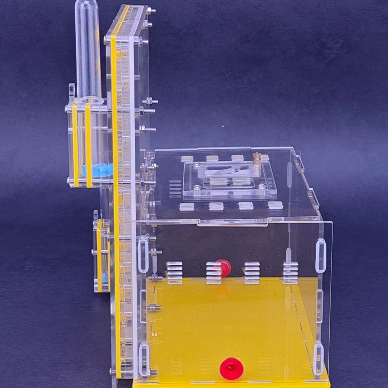 Муравьиная Ферма Большая