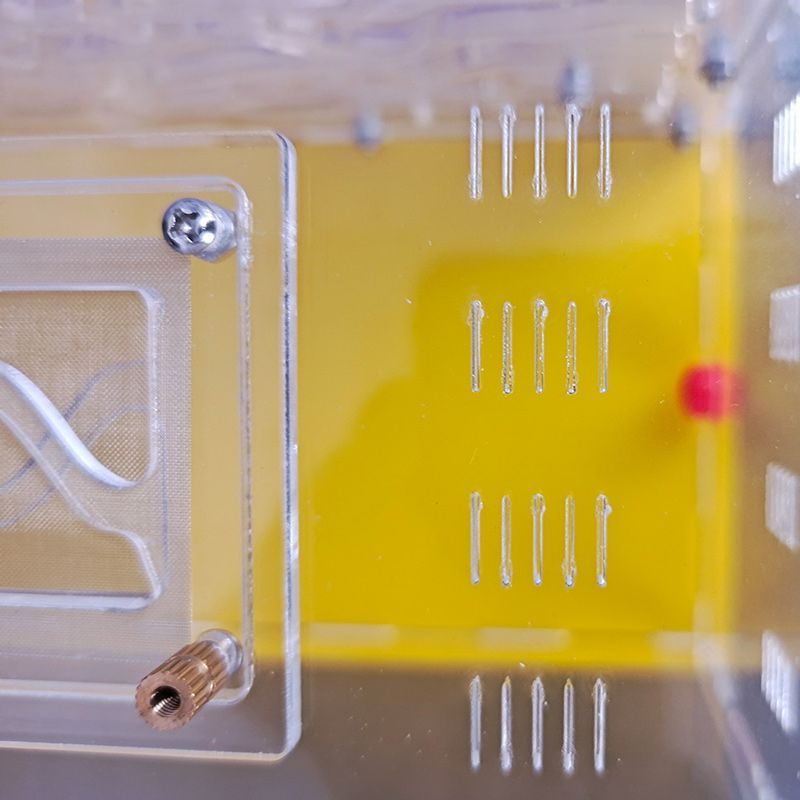 Муравьиная Ферма Большая