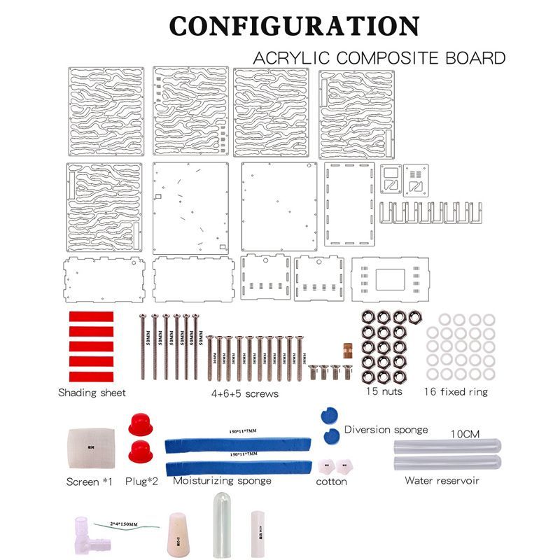 Муравьиная Ферма Большая