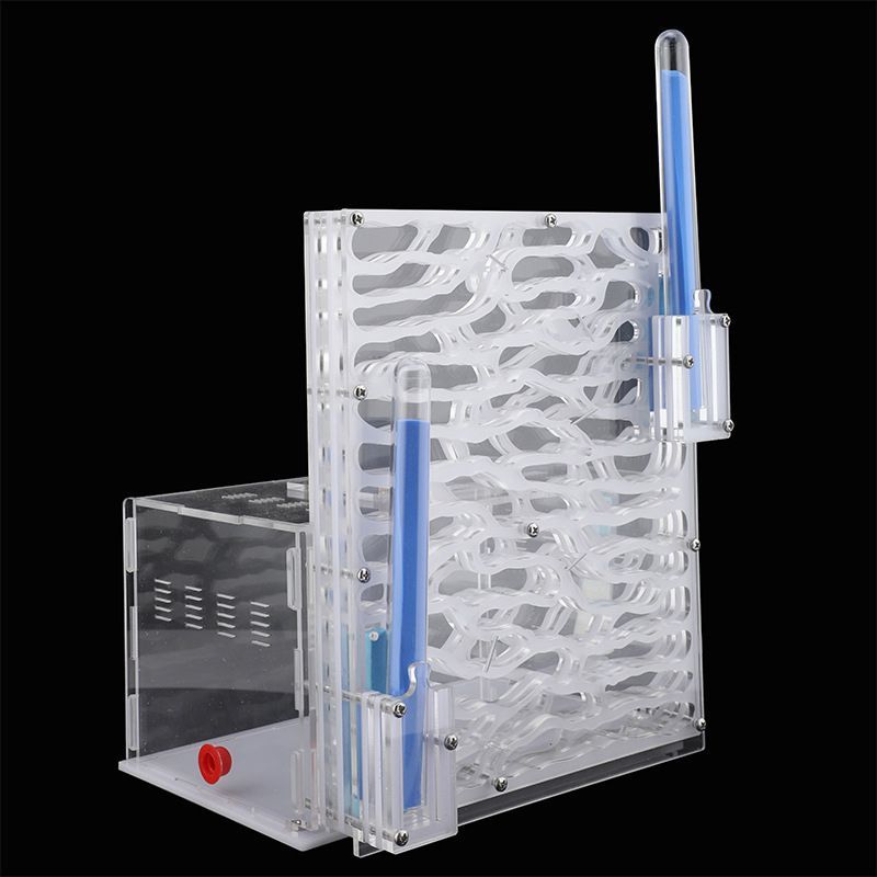 Муравьиная Ферма Большая