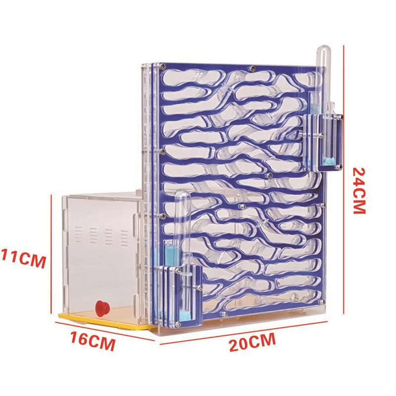 Муравьиная Ферма Большая