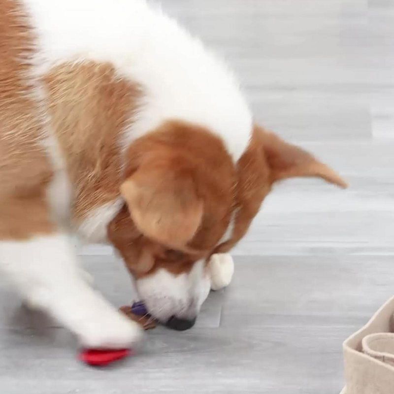 Нюхательный Коврик Для Собак