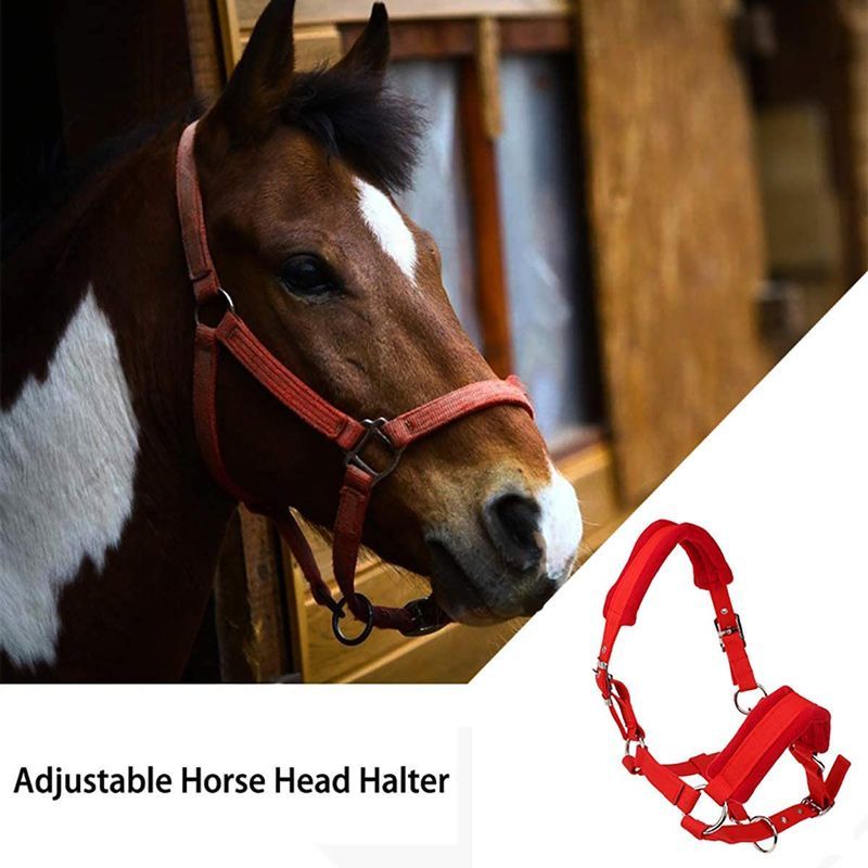 Недоуздок Для Лошади