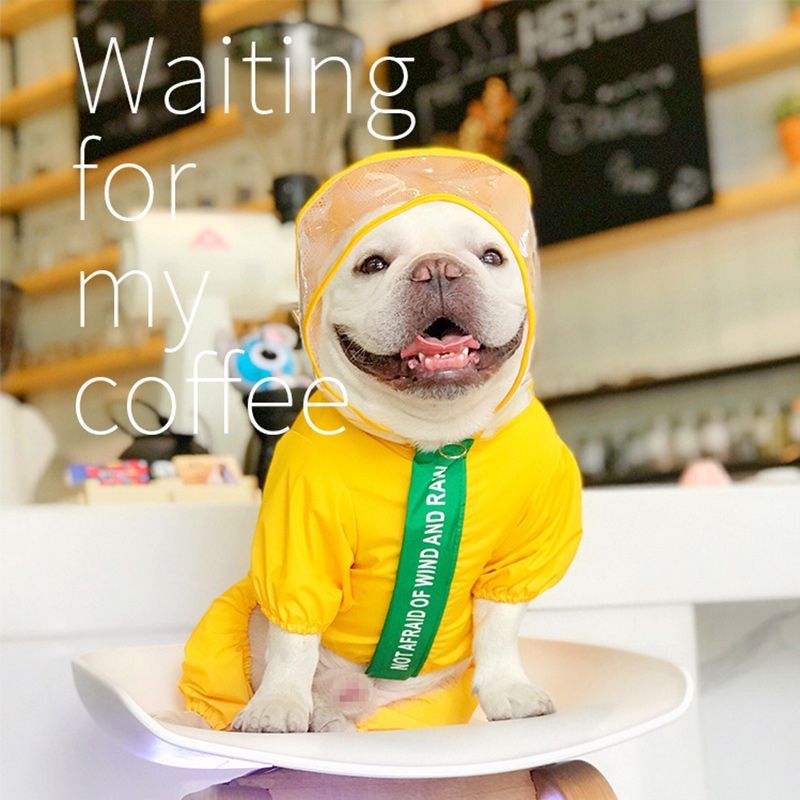 Дождевик Для Корги