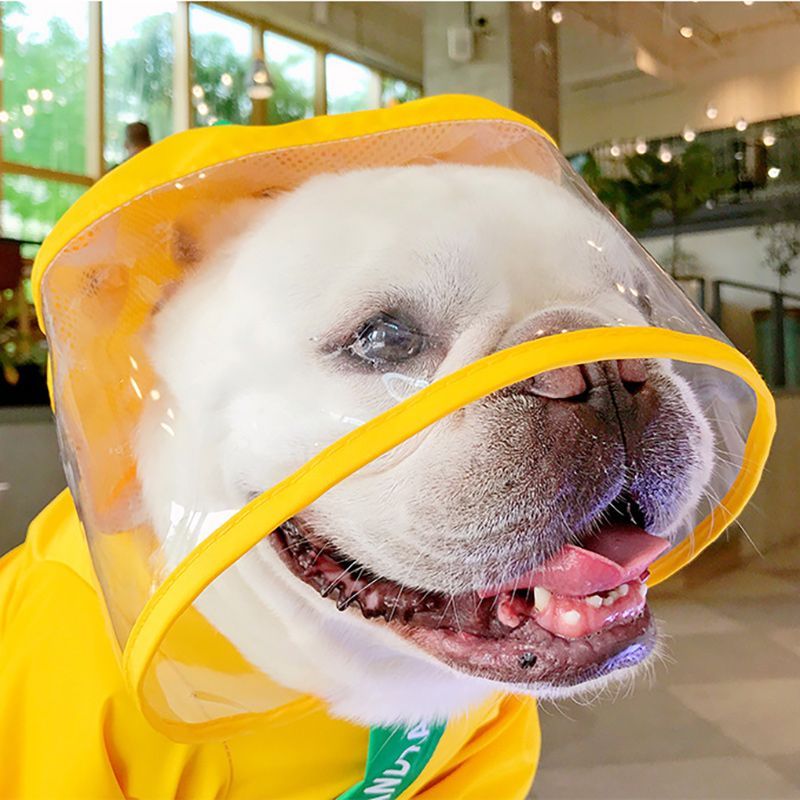 Дождевик Для Корги