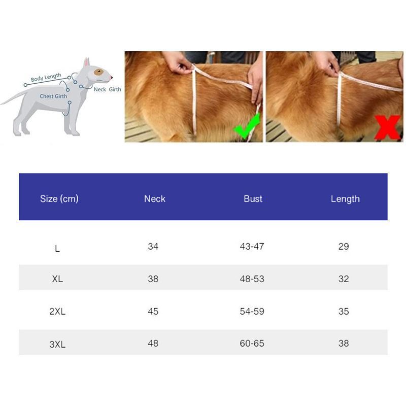 Дождевик Для Корги