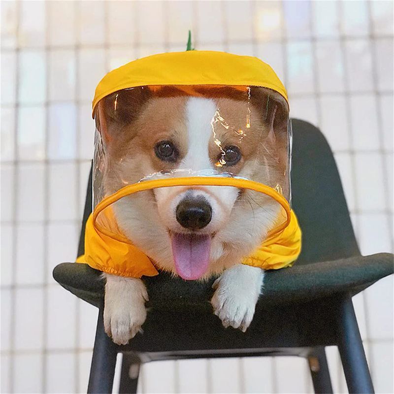 Дождевик Для Корги