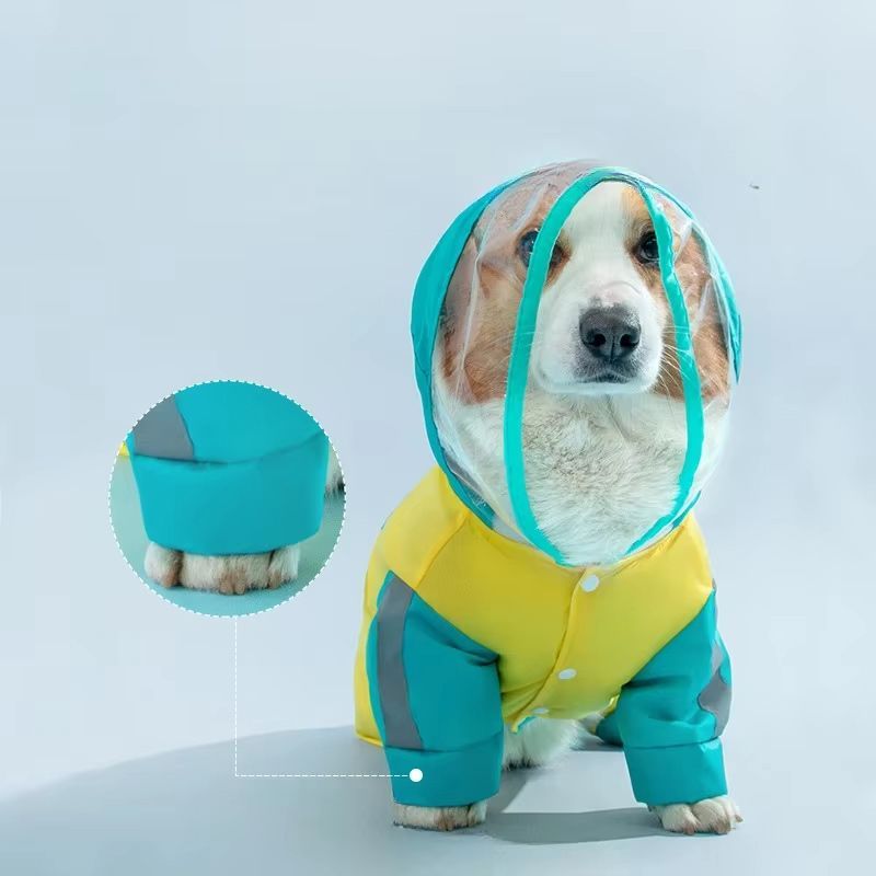 Дождевик Для Корги