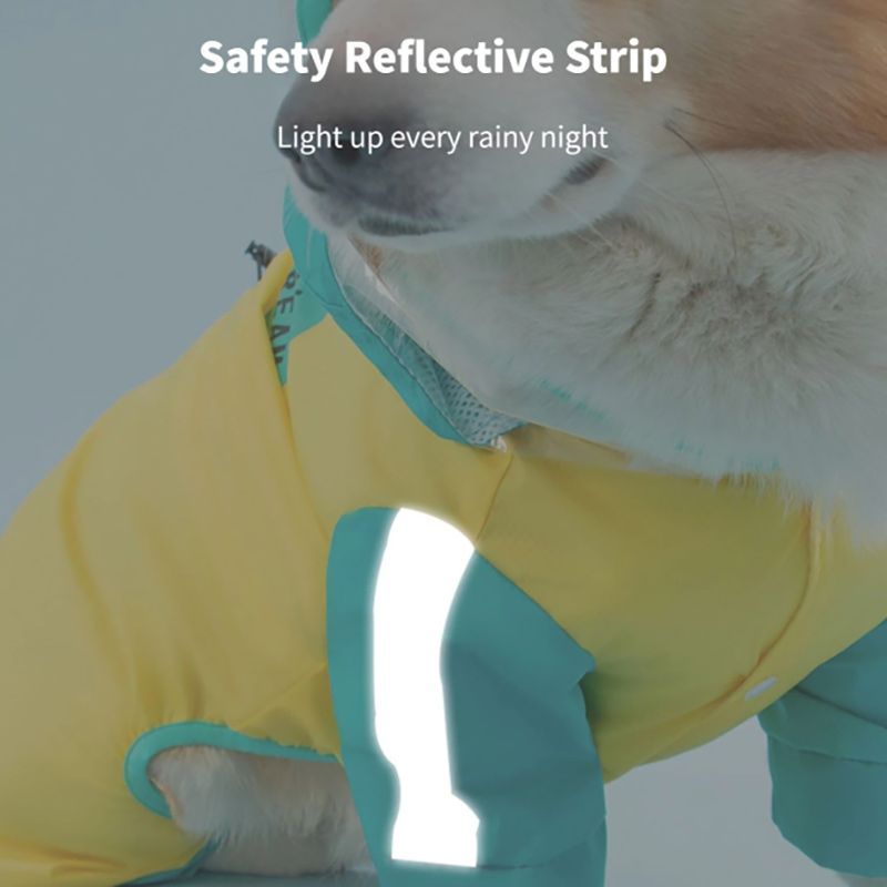 Дождевик Для Корги