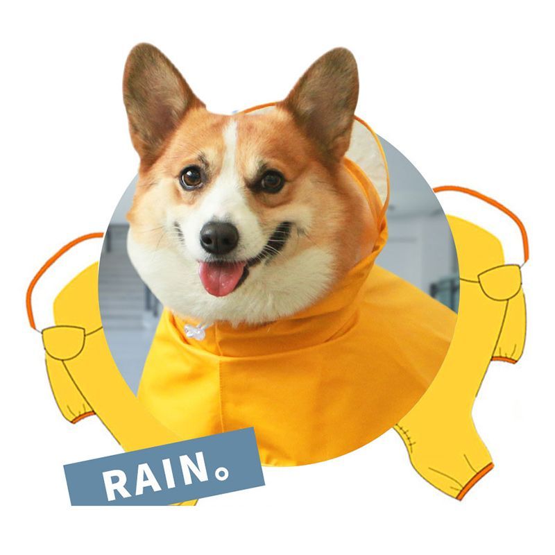 Дождевик Для Корги