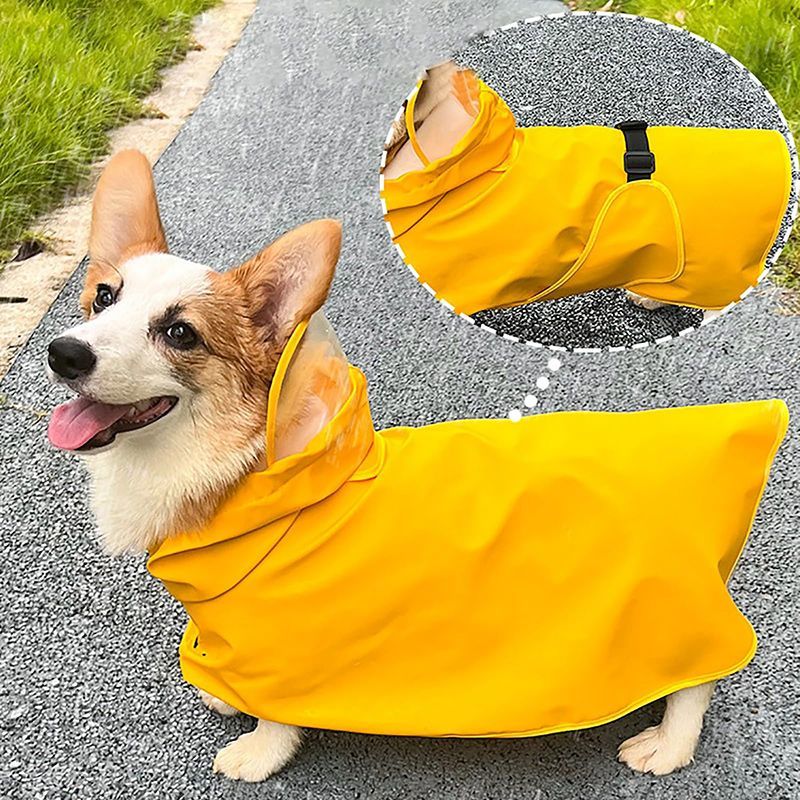 Дождевик Для Корги