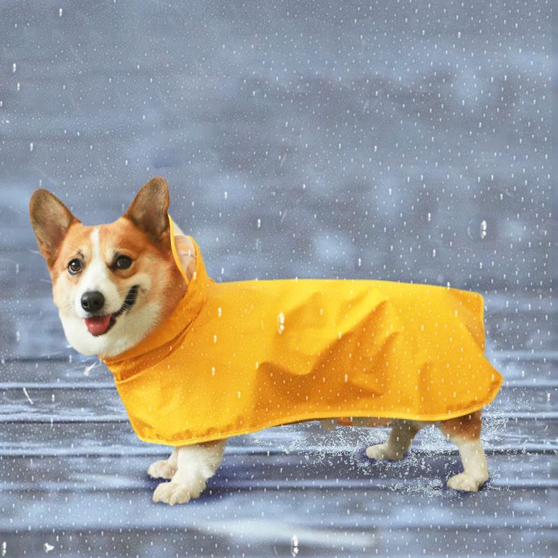 Дождевик Для Корги