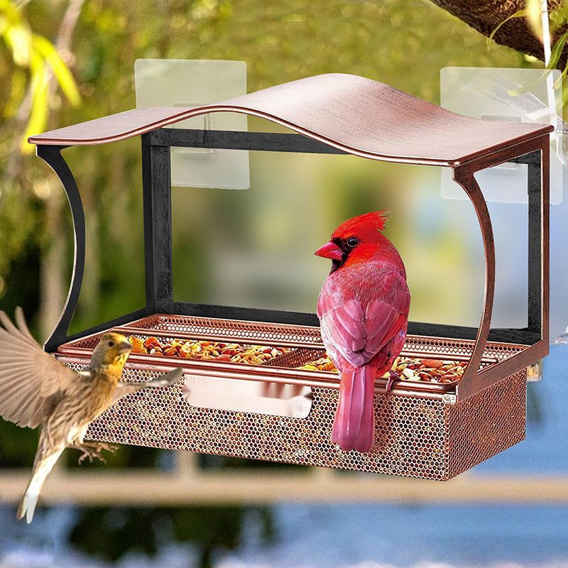 Кормушка Для Птиц На Окно На Присосках