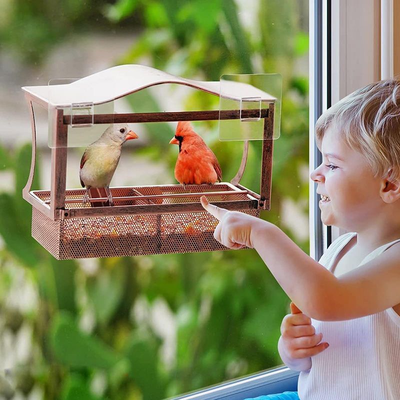 Кормушка Для Птиц На Окно На Присосках