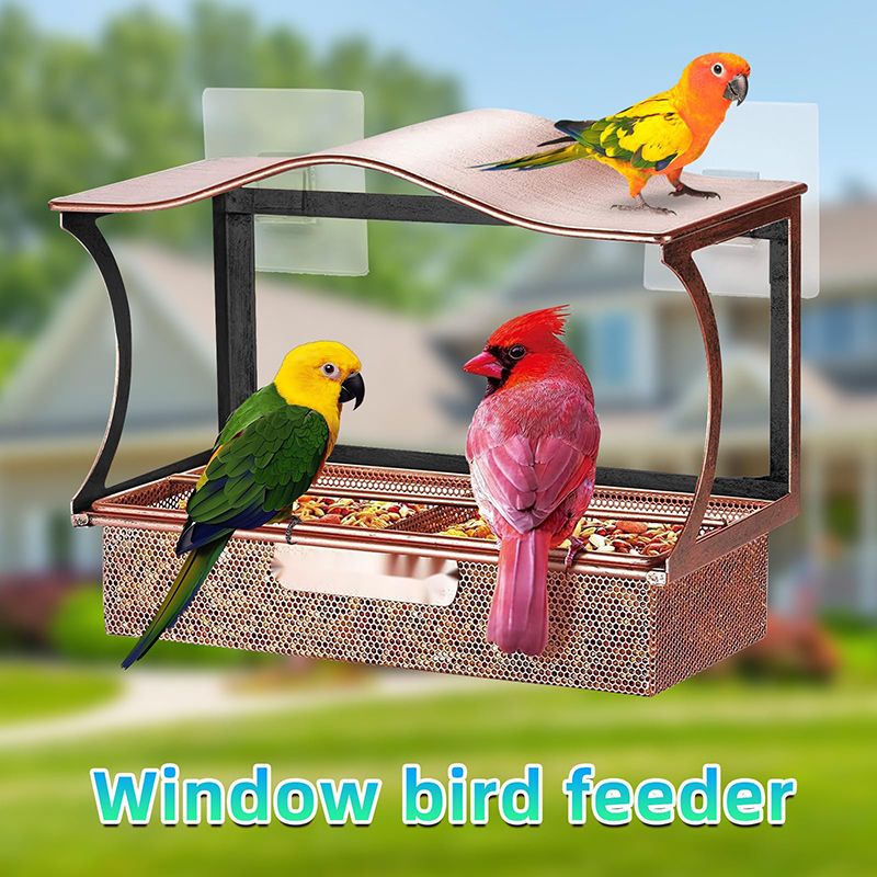 Кормушка Для Птиц На Окно На Присосках