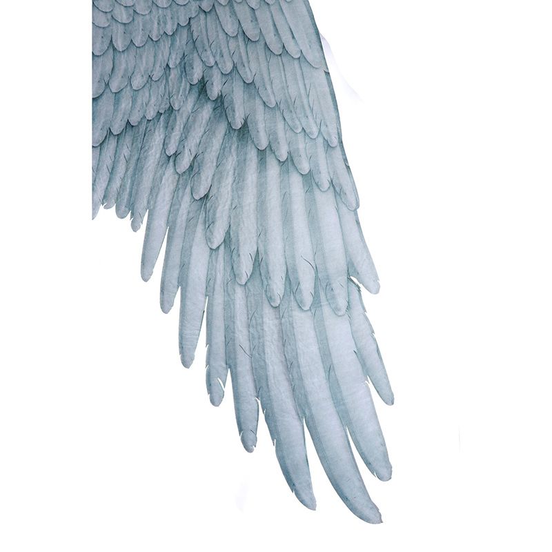 Крылья Ангела Большие