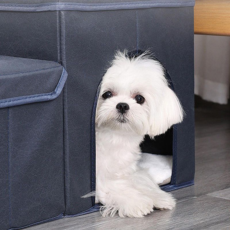 Лестница Для Собак