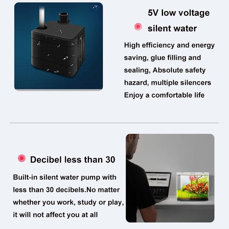 Аквариум Для Петушка С Фильтром И Подсветкой