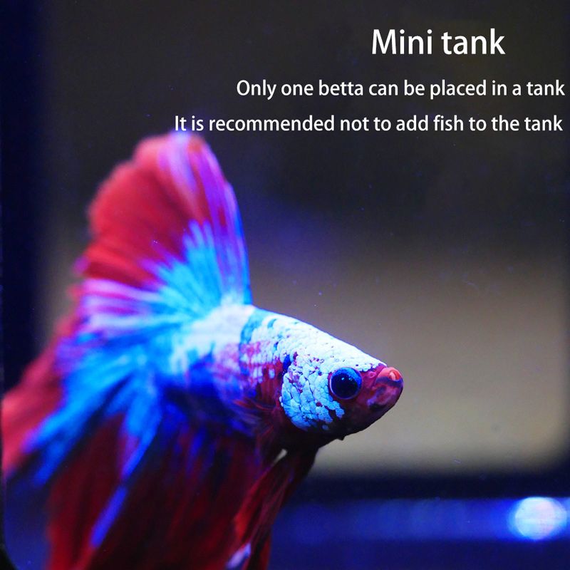 Аквариум Для Петушка