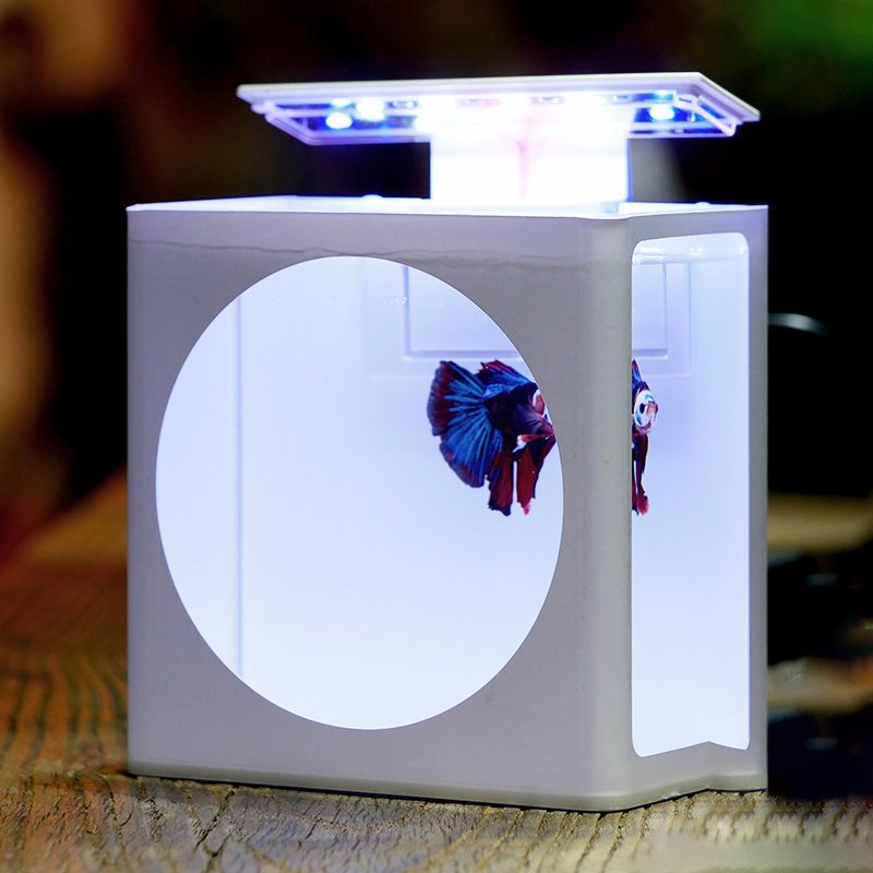 Аквариум Для Петушка