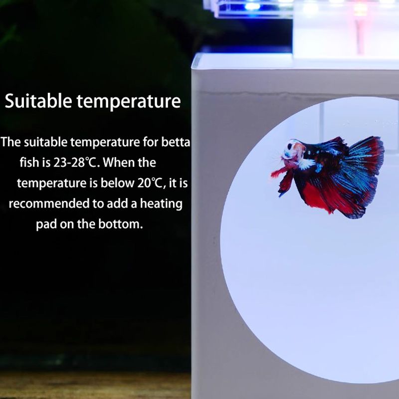 Аквариум Для Петушка