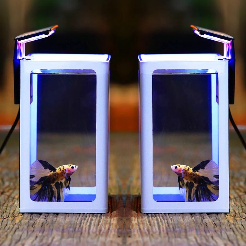 Аквариум Для Петушка