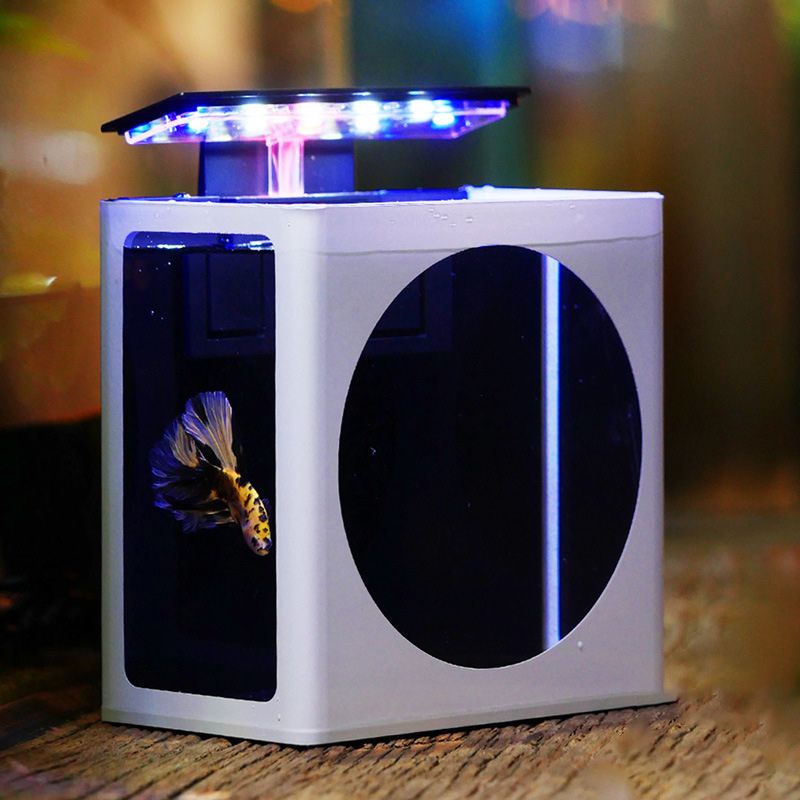 Аквариум Для Петушка