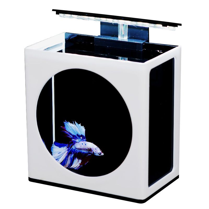 Аквариум Для Петушка