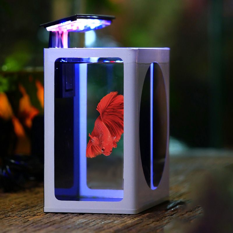 Аквариум Для Петушка