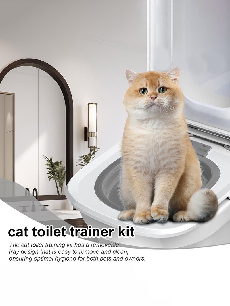 Система Приучения Кошек К Унитазу