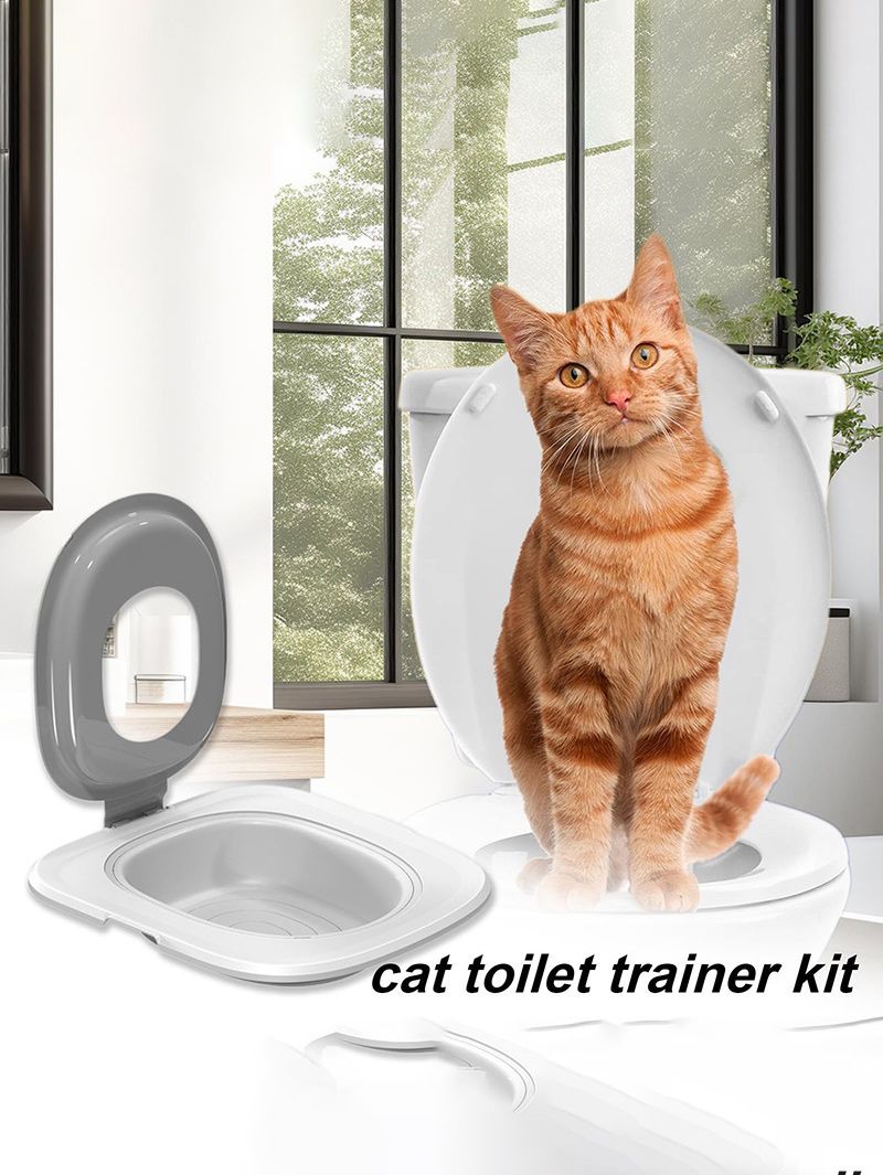 Система Приучения Кошек К Унитазу