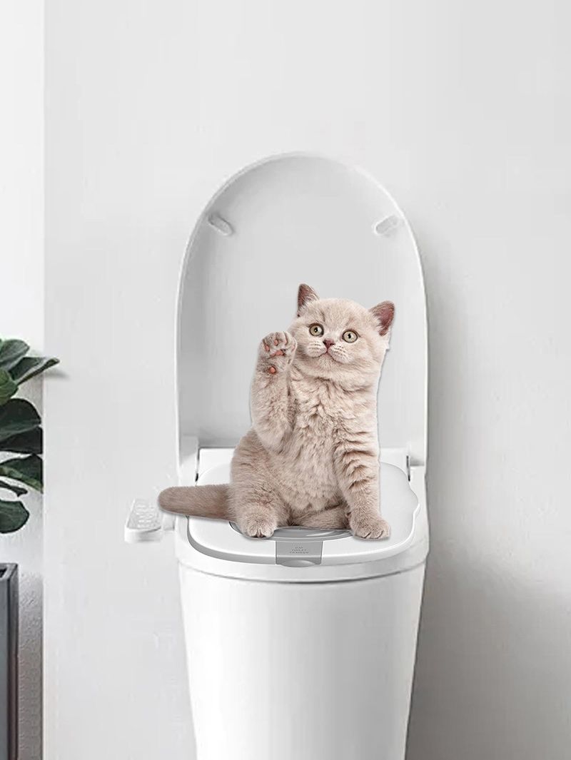 Система Приучения Кошек К Унитазу