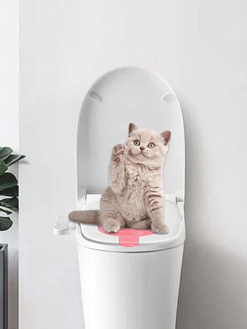 Система Приучения Кошек К Унитазу