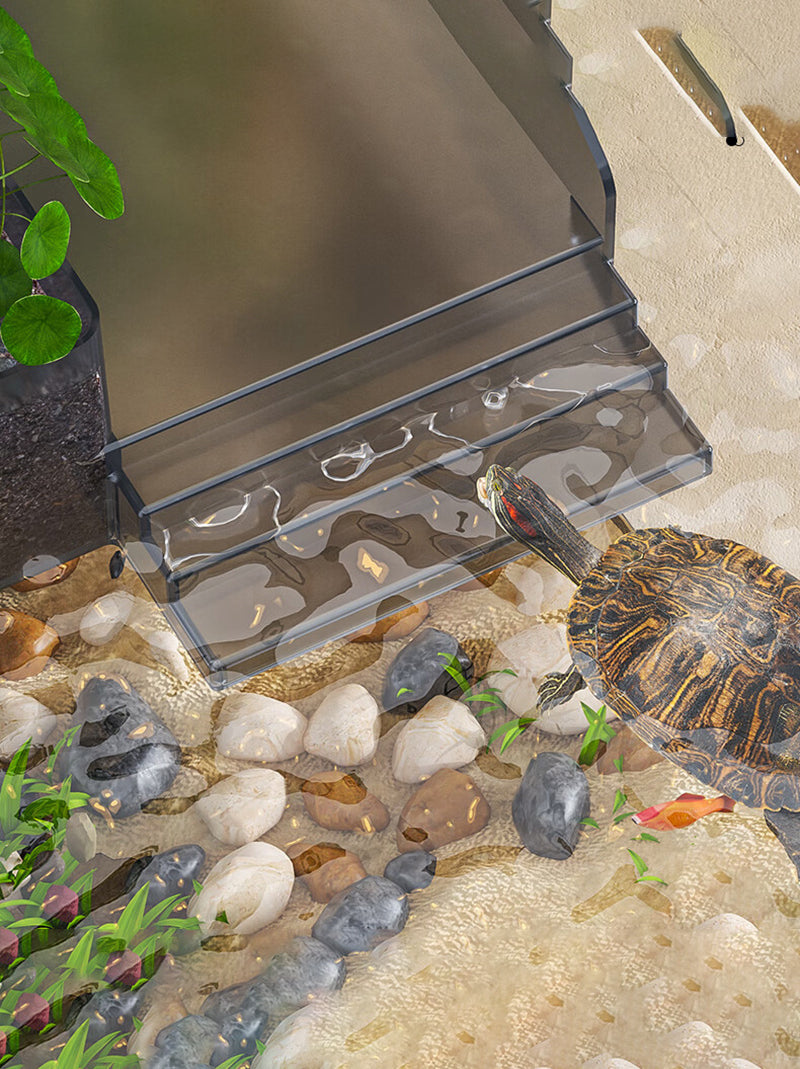 Аквариум Для Черепах Красноухих