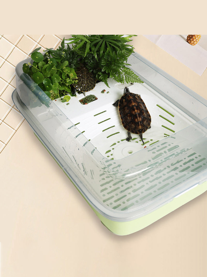 Аквариум Для Черепах Красноухих