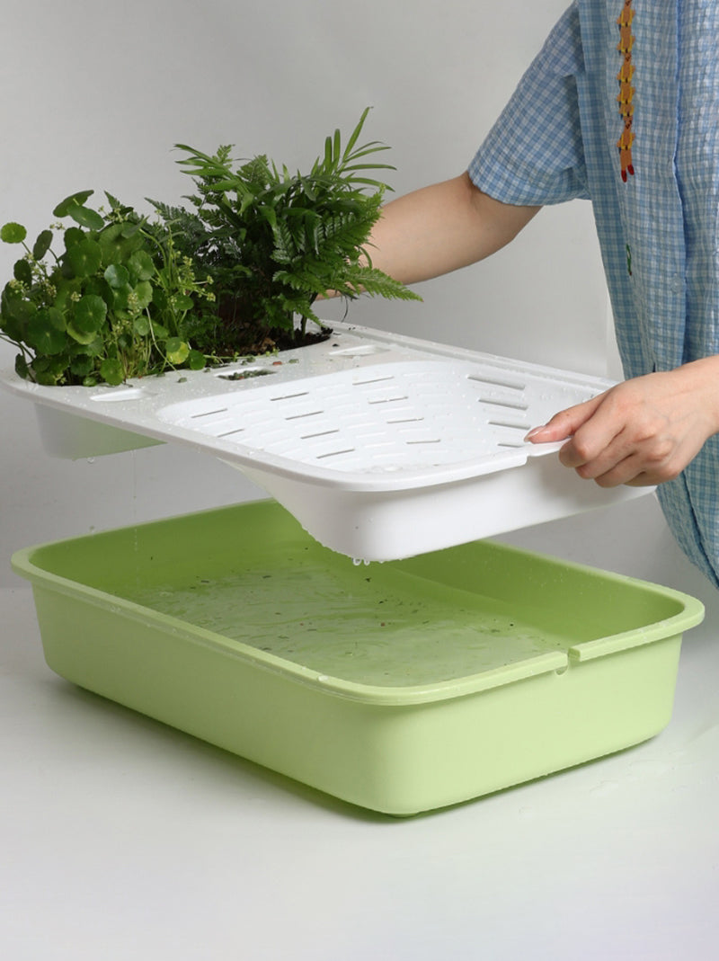 Аквариум Для Черепах Красноухих