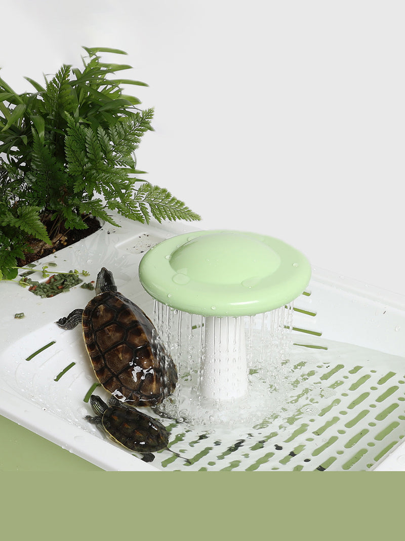 Аквариум Для Черепах Красноухих