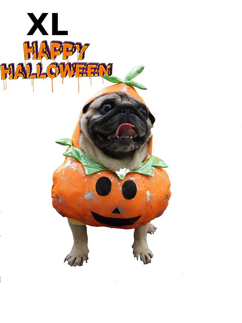 Костюм Для Кота Смешной