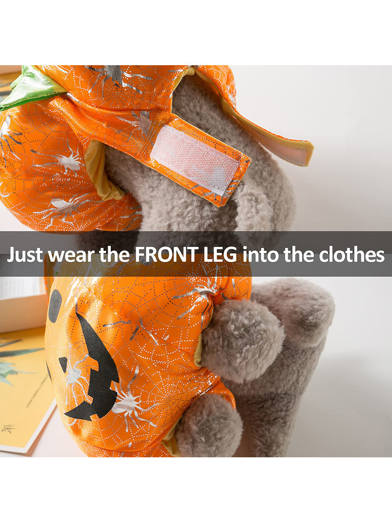 Костюм Для Кота Смешной