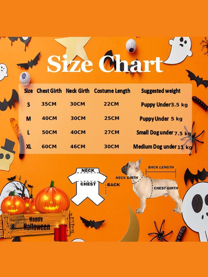 Костюм Для Кота Смешной